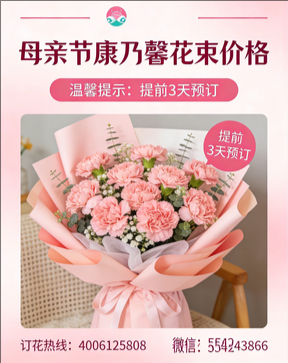 衡阳珠晖区花店母亲节康乃馨花束