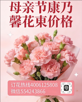 衡阳珠晖区花店母亲节康乃馨花束